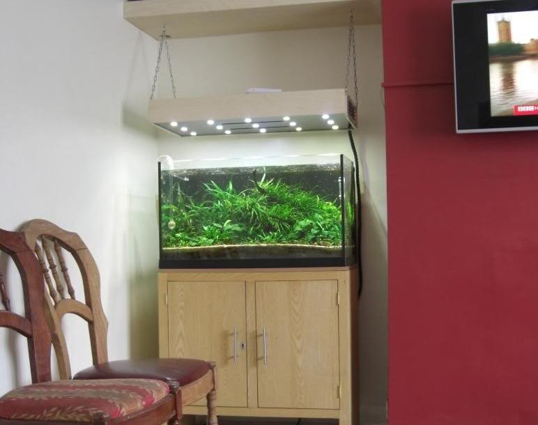 5-li-do-chon-den-led-cho-ho-thuy-sinh